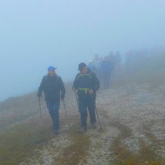 P1160898    Partecipano 63 fantasmi.